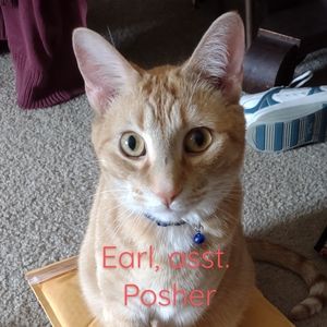 EARL- Posher Assistant NFS